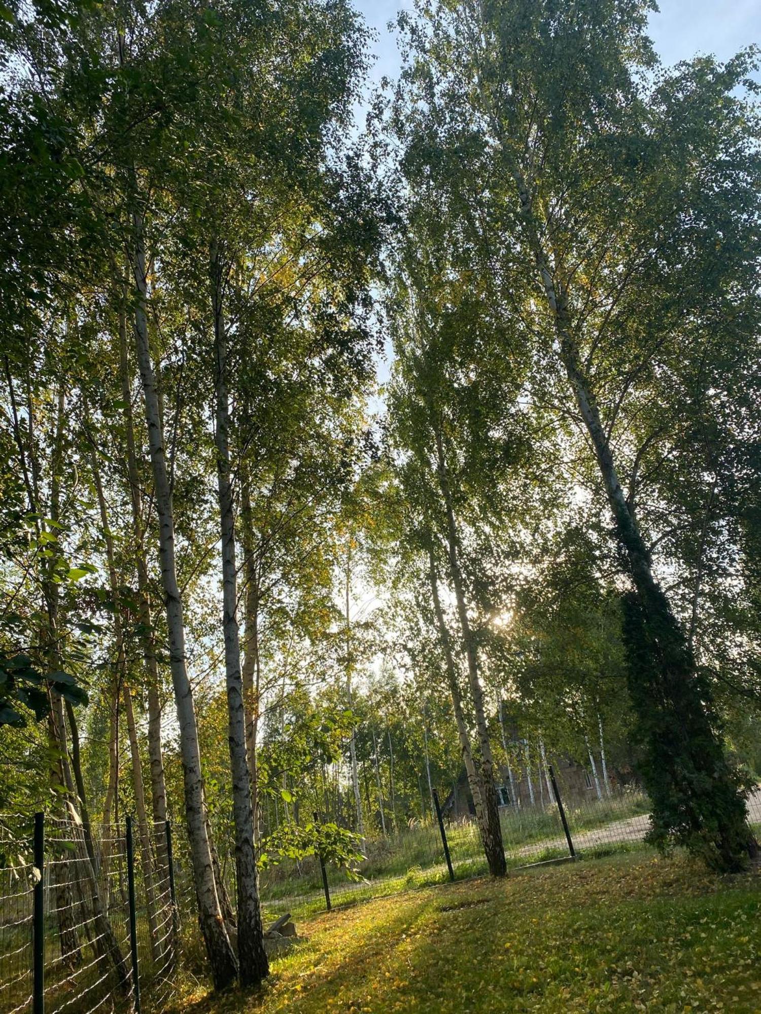 Lazurowy Brzeg * Przejma Wielka
